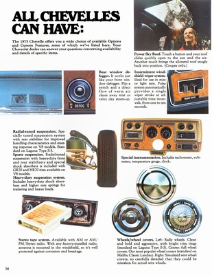 1975 Chevrolet Chevelle-14.jpg